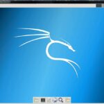 vnc kali debian