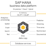 SAP Hana DataBase