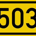 503 error