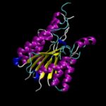 NVIDIA BioNeMo unveils complex protein structure